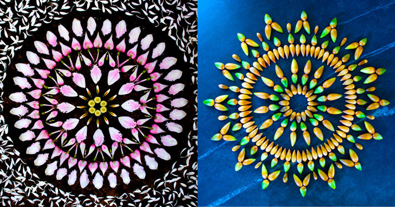 15 Flower Mandalas by Kathy Klein