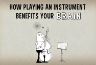 How Playing an Instrument Creates Fireworks in Your Brain
