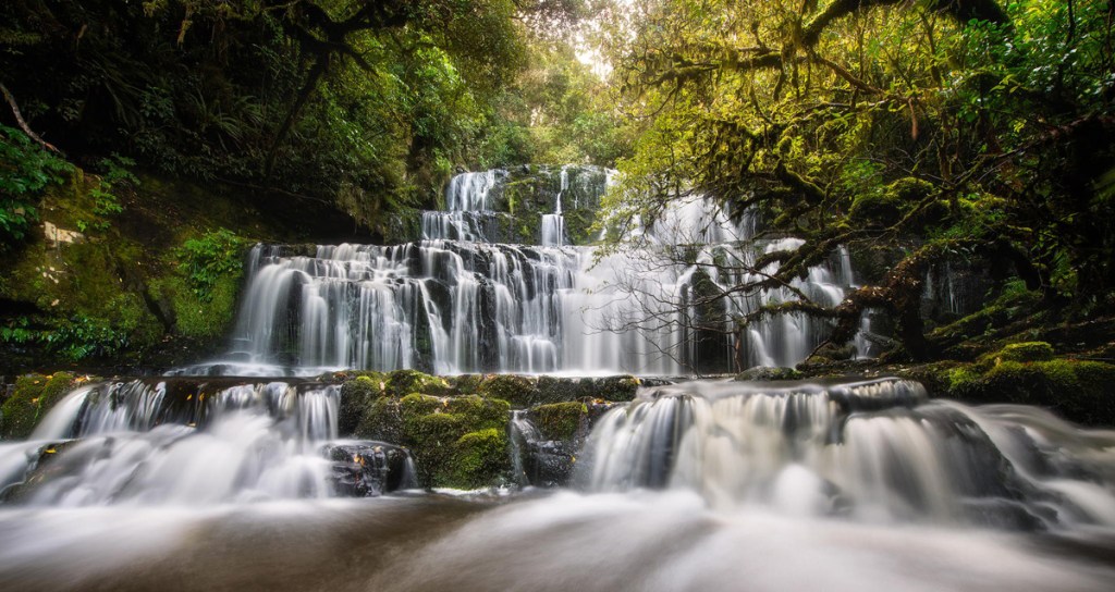 Picture of the Day: Purakaunui Falls, New Zealand
