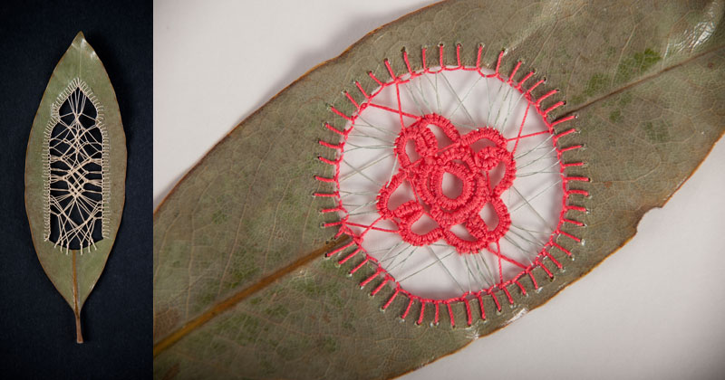 Stitching Leaves by Hillary Fayle