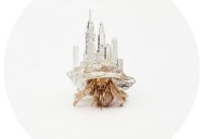 Artist 3D Prints Shells with Tiny Skylines for Hermit Crabs