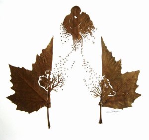 leaf cut art by omad asadi 11 leaf cut art by omad asadi (11)