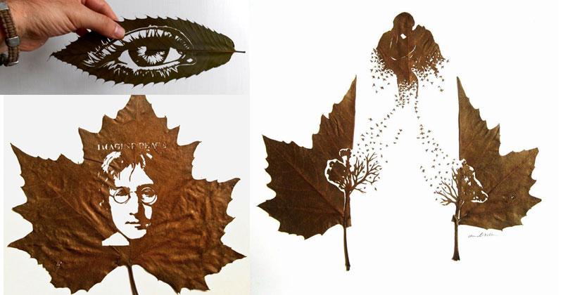 Incredible Artworks Carved into Naturally Fallen Leaves