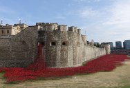 Tower of London’s 888,246 Ceramic Poppies Commemorate Every British Soldier Lost in WWI