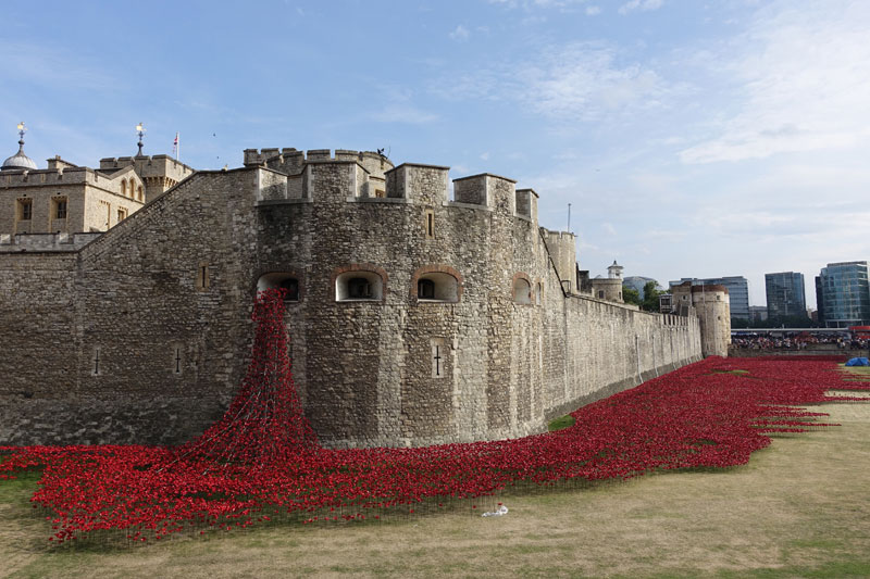 Tower of London's 888,246 Ceramic Poppies Commemorate Every British Soldier Lost in WWI