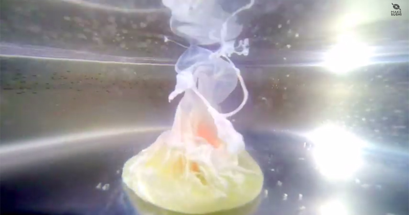 Underwater Footage Shows What an Egg Being Poached Looks Like
