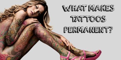 The Science Behind a Tattoo's Permanence