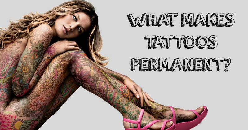 The Science Behind a Tattoo’s Permanence