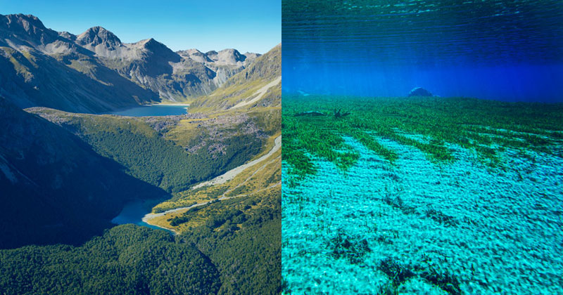 The Clearest Lake in the World is in New Zealand