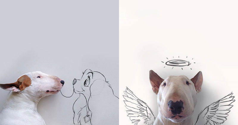 Artist Takes Portraits of His Bull Terrier and Illustrates the Background
