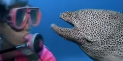 Rare Footage of a Spotted Moray Eel Befriending a Diver