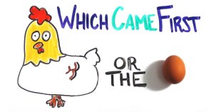 what came first chicken or egg video what came first chicken or egg video