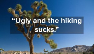 1 star yelp reviews of national parks 5 1 star yelp reviews of national parks (5)