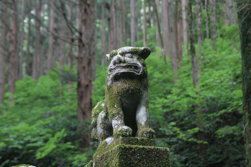 Forest Shrine in Takamori-machi, Kumamoto japan hotarubi no mori es real location (2)