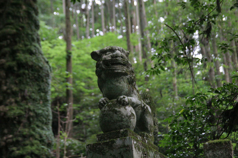 Forest Shrine in Takamori-machi, Kumamoto japan hotarubi no mori es real location (3)