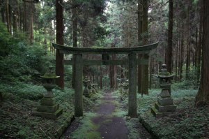 forest shrine in takamori machi kumamoto japan hotarubi no mori es real location 6 Forest Shrine in Takamori machi, Kumamoto japan hotarubi no mori es real location (6)