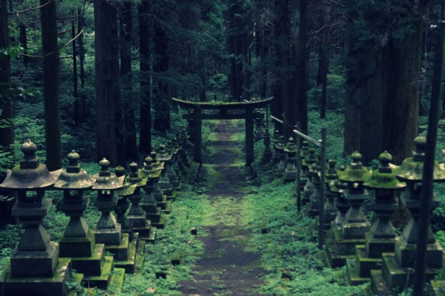 anime japanese towns and forests