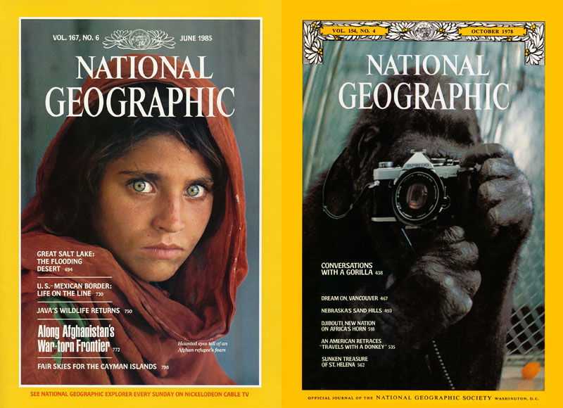 5 Famous National Geographic Covers