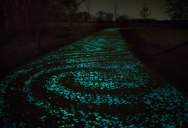 Solar-Powered, Glow in the Dark Bicycle Path Opens in the Netherlands