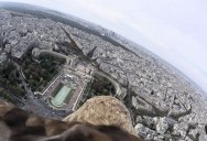 What Paris Looks Like from an Eagle’s POV
