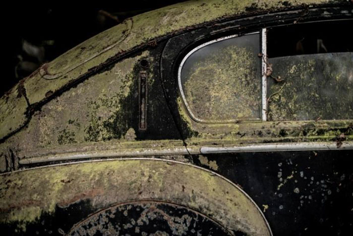 60 Rare Cars Worth Millions Found in French Countryside, Untouched for 50 Years (16)