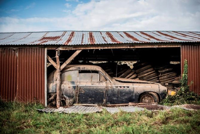 60 Rare Cars Worth Millions Found in French Countryside, Untouched for 50 Years (8)