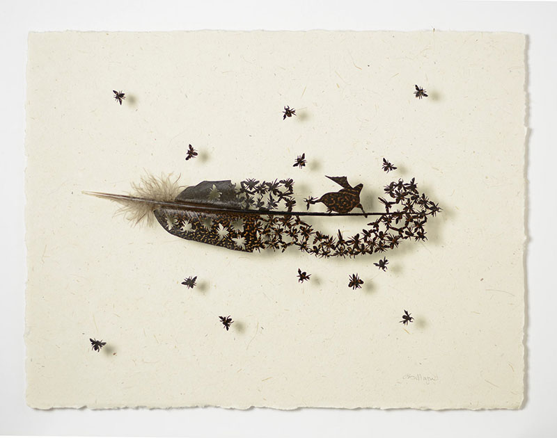 chris maynard feather art (7)