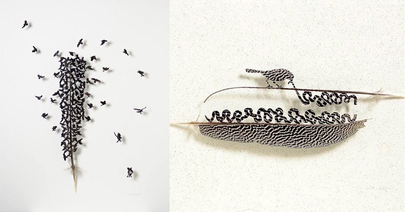 Artist Turns Moulted Feathers Into Works of Art Using Scissors