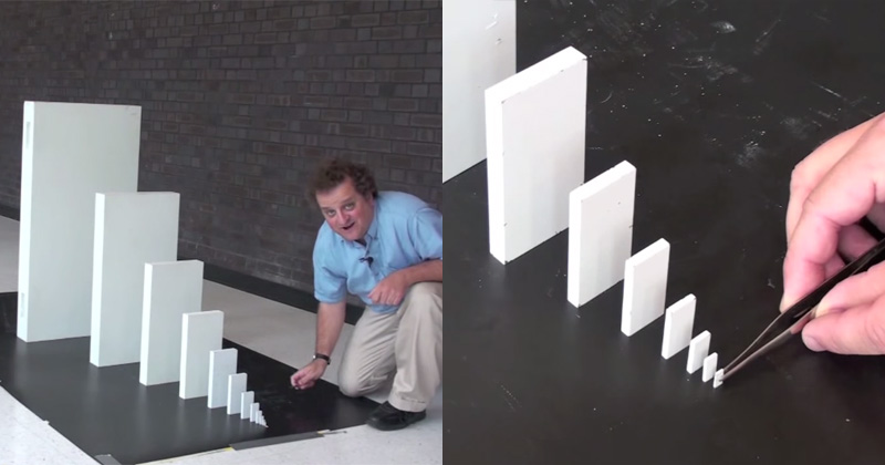 Did You Know Dominos Can Topple Dominos 1.5x Their Size? » TwistedSifter