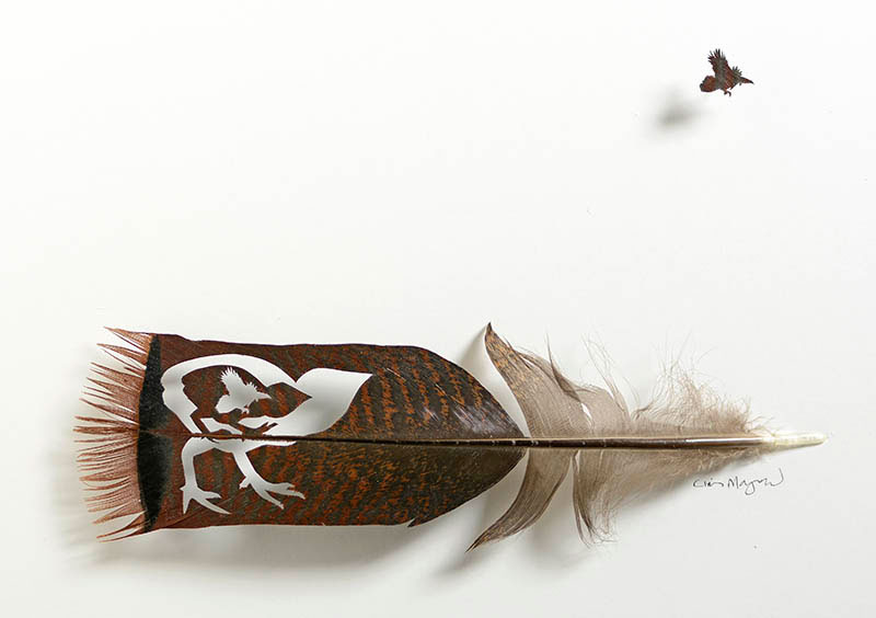 feather art by chris maynard (11)
