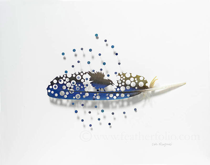 feather art by chris maynard (8)