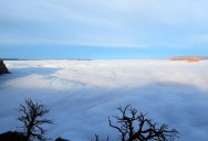 This is What the Grand Canyon Filled with Clouds Looks Like