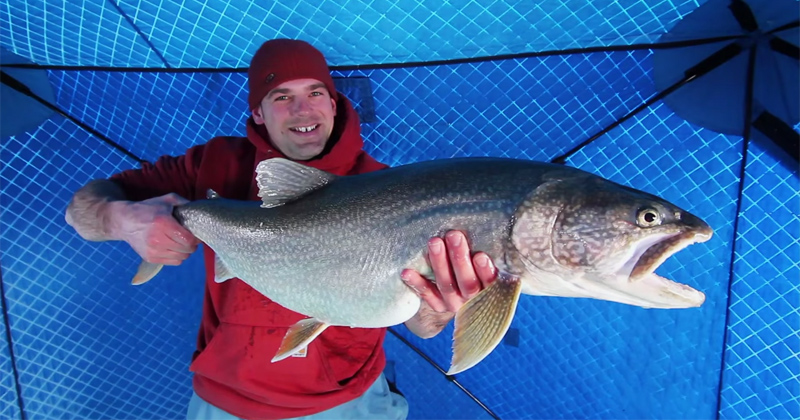 Guy Catches Monster Lake Trout Ice Fishing 32 km Out on Lake Superior