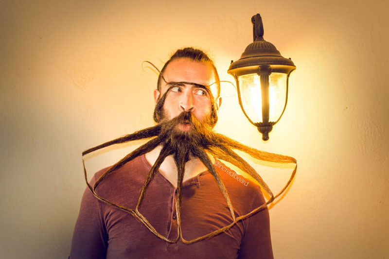 The Incredible Beards of Incredibeard (16)