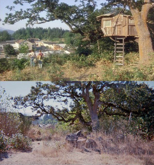 What Places from Stand By Me Look Like Today then and now (1)