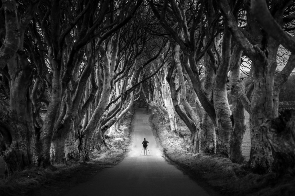 Picture of the Day: The Dark Hedges of Northern Ireland