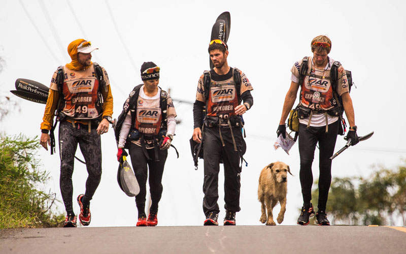 This Stray Dog Joined a Racing Team and Crossed the Finish Line with Them