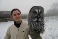 Handler Shares Her Amazing Images With Birds of Prey