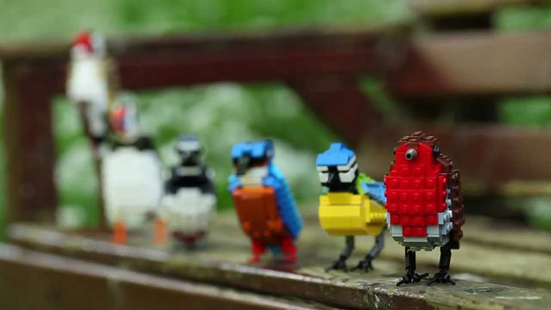 LEGO Birds by Tom Poulsom (3)