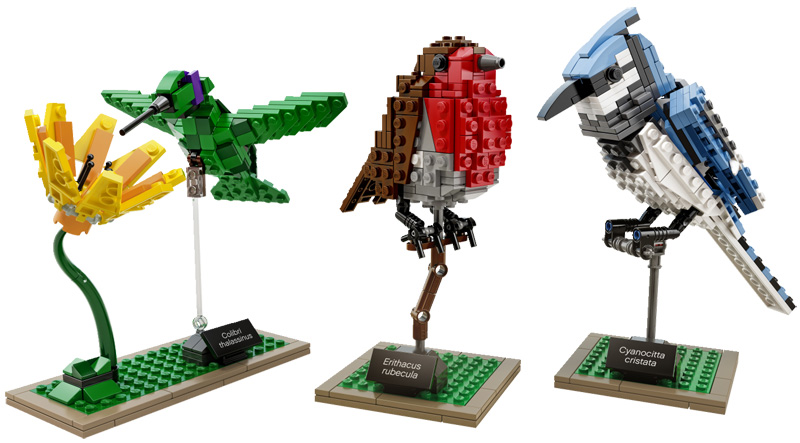 LEGO Birds by Tom Poulsom (5)