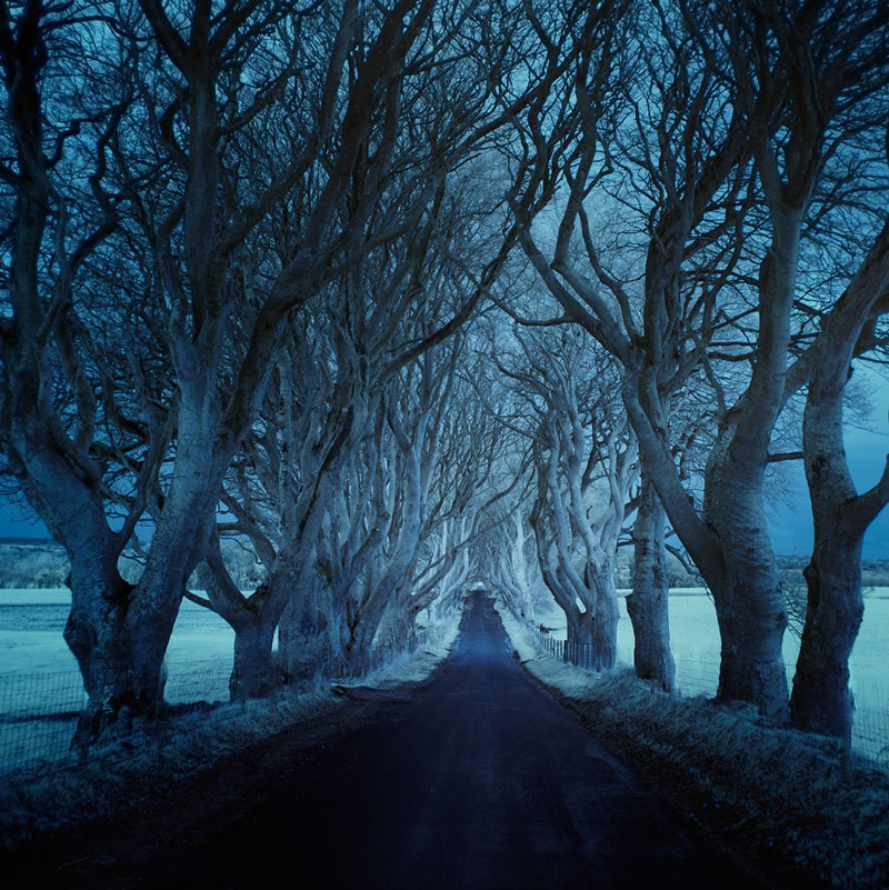 photos of roads by andy lee (10)