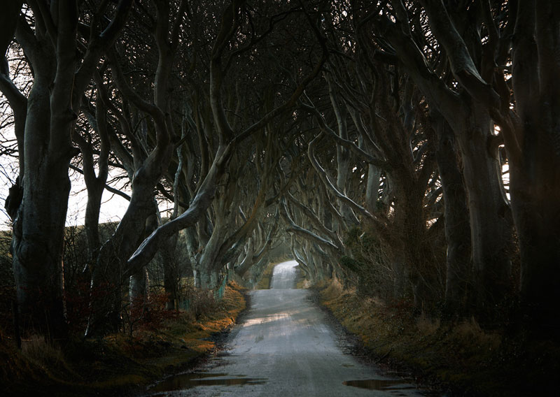 photos of roads by andy lee 6 10 Central European Landscapes Inspired by Grimms Fairy Tales