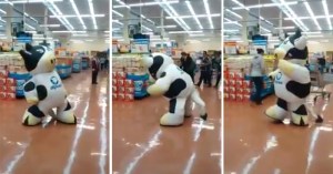 whoever is in this cow suit deserves a raise whoever is in this cow suit deserves a raise