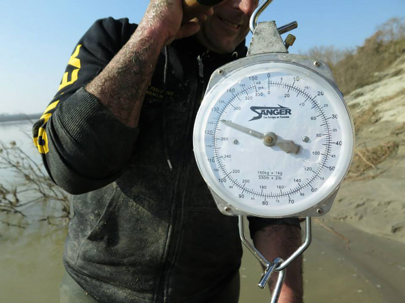dino ferrari catches record breaking 280 pound catfish in italy (5)