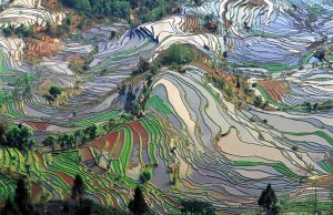 rice terraces in yunnan china aerial from above rice terraces in yunnan china aerial from above