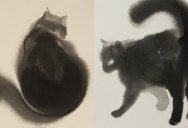 Watercolor Cats by Endre Penovac
