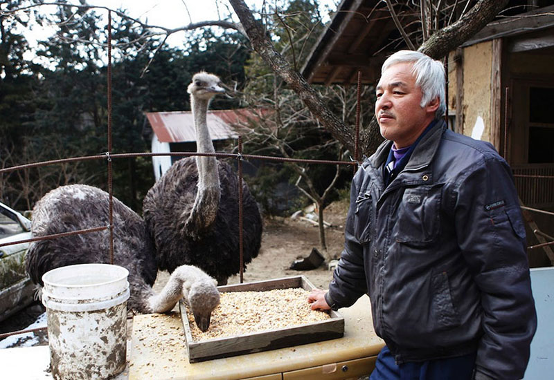 After Fukushima this Town was Abandoned but One Man Returned to Care for the Animals