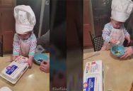 Baby Cracks a Perfect Egg on Her First Try Ever