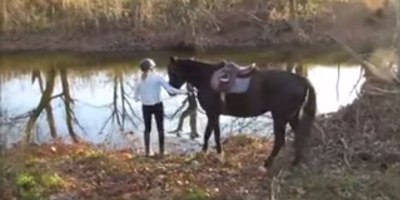 This Horse's First Time in Water Could Not Have Gone Any Better
