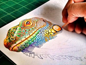 incredibly detailed pencil crayon drawings of iguana and chameleon by tim jeffs 3 incredibly detailed pencil crayon drawings of iguana and chameleon by tim jeffs (3)